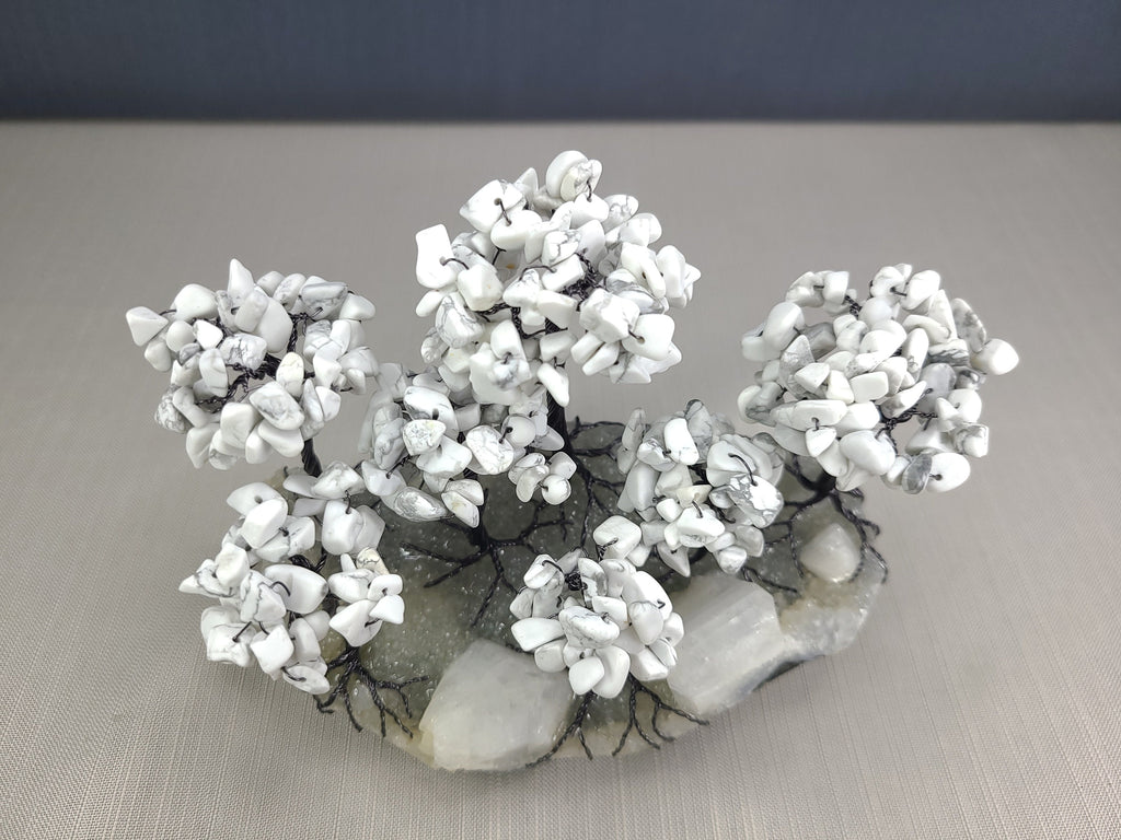 Decorative piece with white coral-like material on a gray surface