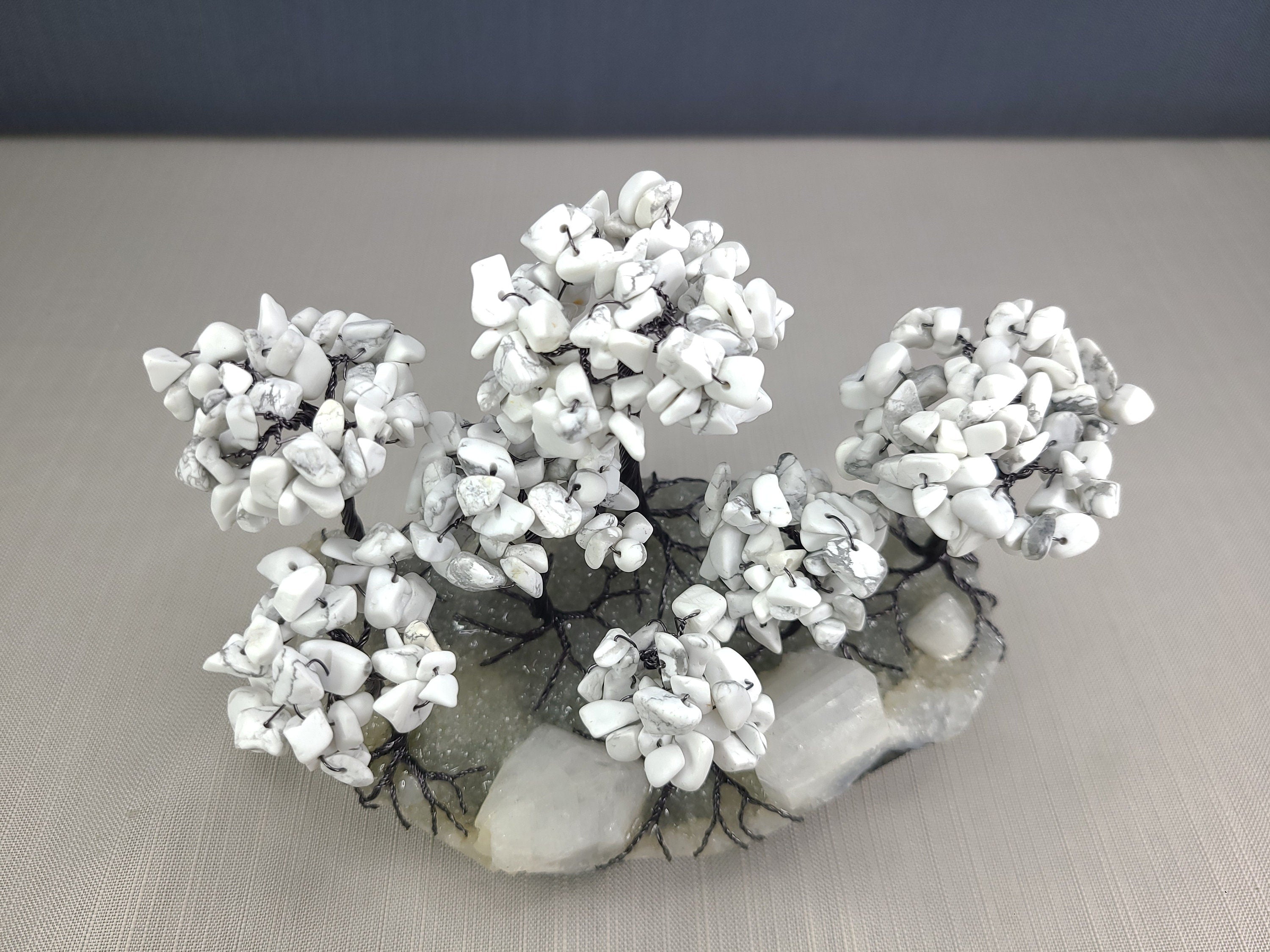 Decorative piece with white coral-like material on a gray surface